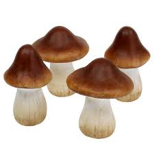 It has a cytoplasmic location and is essential for type iv fimbrial, or pilus, biogenesis. Pilz Mix Aus Ton Keramik Braun 9cm 8st 511914 009 707 Preiswert Online Kaufen