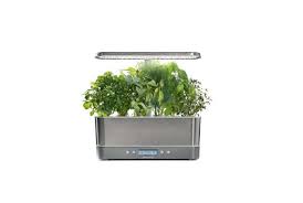 Maybe you would like to learn more about one of these? 10 Easy Pieces Countertop Vegetable Growing Kits Gardenista