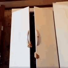 Come Out The Closet GIFs | Tenor