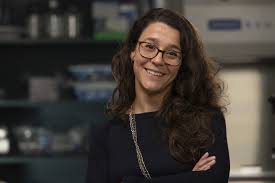 She was engaged to preston burke and had a tumultuous relationship and marriage with owen. Cristina Puig Saus Phd Parker Institute For Cancer Immunotherapy