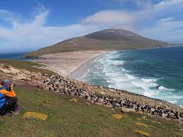It is a working sheep farm, but also one of the premier wildlife destinations in the falklands. Saunders Island West Falkland Aktuelle 2021 Lohnt Es Sich Mit Fotos Tripadvisor