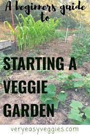 Pin On Vegetable Gardening For Beginners