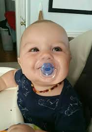 Toothless Feral Streep is cuddling her brother, Bear, who had his teeth  extraction today 🥺🧛‍♂️ I think this is their first cuddle!