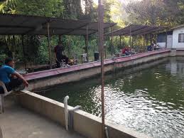 Cuaca Cantik Petang Ni Elok Kalau Kolam Pancing Udang Galah Noramzah Kg Kemensah Facebook