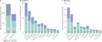In one encounter they can be very energetic and sexual, and the next they can be the most gentle and loving partner depending on the situation and the mood that they're in at the time. Sex Disparities Matter In Cancer Development And Therapy Nature Reviews Cancer