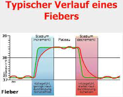 Das Fieber Fieberverlauf Dr Katalin Mullner Pdf Kostenfreier Download