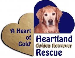 Read and share with others! Heartland Golden Retriever Rescue Reviews And Ratings Knoxville Tn Donate Volunteer Review Greatnonprofits