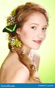 2,963 Yellow Daisy Long Stock Photos