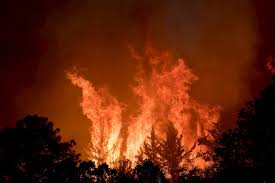 Si se quema en un incendio forestal, el. Desalojan A 400 Personas Por Incendio Forestal En Sierra De Arteaga Ntr Guadalajara