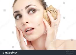 33 White Toothed Cowry Images, Stock Photos, 3D objects, & Vectors