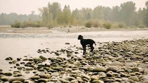 Loans subject to credit approval. Using Rv Value Guides For Tips On Reselling Or Trading Your Rv Outdoorsy Com