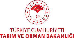 Morenler ve kumluklar bu bölgenin en belirgin özelliğiydi. Temelunsurlar