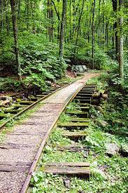Abandoned Blue Ridge Track Is A Photograph By Sherry Curry Old Abandoned Railroad Track In The Woods On The Blue Ridge Pa Train Tracks Abandoned Train Scenery