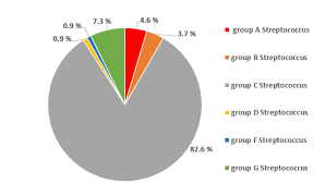 Image result for Group D Streptococcus
