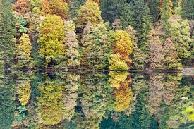 Dies ist im normalfall eine gießkanne, aber eine leere flasche genügt auch. Wie Viel Wasser Braucht Der Wald Naturwald Akademie