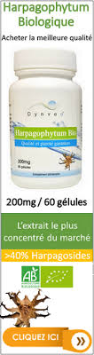 Unter arthrose versteht man gelenkverschleiß. Contre Indications De L Harpagophytum