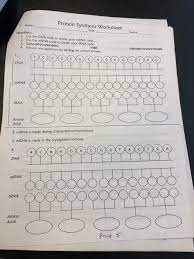 We always make sure that writers follow all your instructions precisely. Protein Synthesis Worksheet Name Date Directions Chegg Com