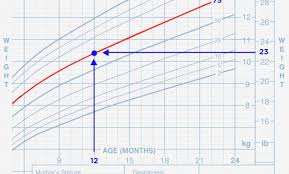 Up To Date Babycenter 3 Year Old Premature Baby Boy Weight