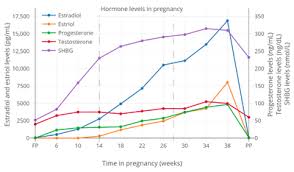 Ebl—estimated blood loss ecg—electrocardiogram ed—emergency department. Sex Hormone Binding Globulin Wikipedia