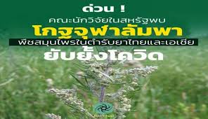สำหรับต้นออมเงินออมทองแคระ สามารถหาซื้อได้ตามแหล่งขายพรรณไม้ทั่วไป โดยราคาเริ่มต้นที่ 20 บาท ความถูกแพงขึ้นอยู่. Zf8hdw7j0sov4m