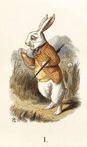 Also, if you read the crumbs in middle top, it also confirms the sigs were about the sa raid. Psychological Diagnosis Of The White Rabbit In Alice In Wonderland By Natalie Frank Ph D Mental Gecko Medium