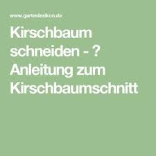 Kirschbaum Schneiden Anleitung Zum Kirschbaumschnitt Kirschbaum Schneiden Olivenbaum Schneiden Olivenbaum