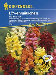 Die gattung antirrhinum hat ein disjunktes verbreitungsgebiet und kommt mit 21 arten im westlichen. Kiepenkerl Lowenmaulchen Tip Top Mix 1 Packung Bloomling Deutschland