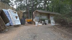 Residents In Stone Mountain Ga Report A Rat Infestation So Bad Postal Workers Refuse To Deliver Mail Rat Infestation Postal Worker Rats