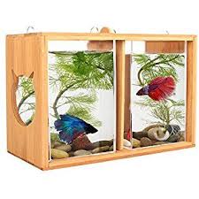 This is my divided betta fish tank that i split to keep 5 male betta fish. Segarty Cool Desktop Fish Bowls Unique Design Dual Square Glass Jar Aquarium Kit With Bamboo Board Betta Fish Tank For Livingroom Home Office Decoration