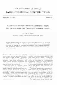 Image result for White 1983 UMM