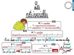 Quiconque a lu l'andromaque de racine et se souvient de « la veuve d'hector pleurante » aux. Les Lecons D Orthographe Cm Orthographe Le Feminin Des Adjectifs Pluriel Des Noms