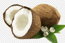 Free coconut pictures, stock photos and public domain images. Coconut Shell And Coconut Milk Coconut Milk Powder Coconut Water Cracked Coconut Brown Food Oil Png Pngwing