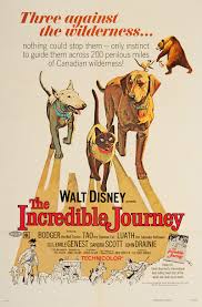 This movie is still has every bit of fun and magic that made it great as a kid. The Incredible Journey 1963 Imdb