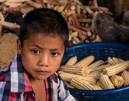 Desarrollo del manual de identidad gráfica institucional del Centro  Pediátrico Quirúrgico Moore ubicado en la ciudad de Guate