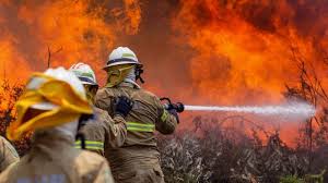 Your #1 source for new and used parts from thousands of manufacturers including caterpillar, komatsu, cnh, john deere, cat, deere, and more. At Least 62 Die In Forest Fire In Portugal Teletrader Com