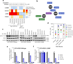 Image result for ROS1 Inhibitor