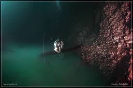 Internacional  EL MISTERIOSO “RÍO” BAJO EL MAR: EL FENÓMENO ÚNICO DEL CENOTE  ANGELITA En lo profundo de la Península de Yucatán, el Cenote Angelita,  también conocido como "Angelito", esconde un increíble
