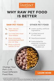 As the popularity of raw diets has grown, so have the number of products. Pin On Neat