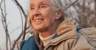 Alana Lester's Instagram, Twitter & Facebook