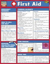 Laboratory Charts And Posters First Aid