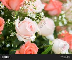 Maybe you would like to learn more about one of these? Big Beautiful Bouquet Image Photo Free Trial Bigstock
