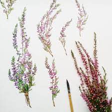 Veresk Na Budushij Pattern Dlya Firmennogo Stilya U Menya Uzhe Sobstvennyj Cvetochnyj Top Po Zakazam Veresk R Heather Flower Wreath Watercolor Watercolor Flowers