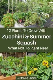 Also there was a bit of runniness at the bottom of the dish. 12 Great Companions For Zucchini Summer Squash And 3 To Avoid