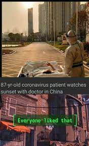 Maybe you would like to learn more about one of these? Everyone Liked That Memes