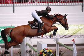 43,725 likes · 4,219 talking about this. Penelope Leprevost Et Topinambour Horse Pictures Horses Equitation
