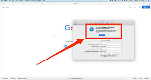 How to make google my homepage in any browser: How To Make Google Your Homepage In Chrome Safari More