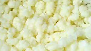 как вырастить молочный гриб с нуля в домашних условиях Kak Vyrastit Molochnyj Grib V Domashnih Usloviyah S Nulya