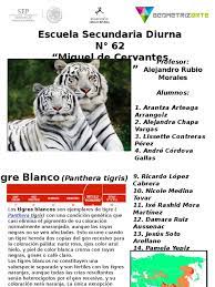 Libros electrónicos en español e inglés en formato pdf, epub, fb2. Ficha Tecnica 2 Tigre Blanco