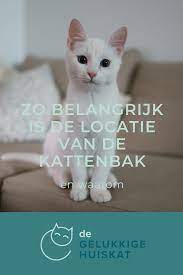 De Juiste Locatie Van De Kattenbak Kattenbak Kat Gedrag Katten