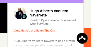 Hugo Alberto Vaquera Navarrete - Head of Operations at Divelement ...